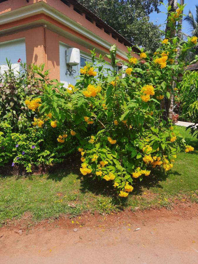 Villa Sunflower Cavelossim Bagian luar foto